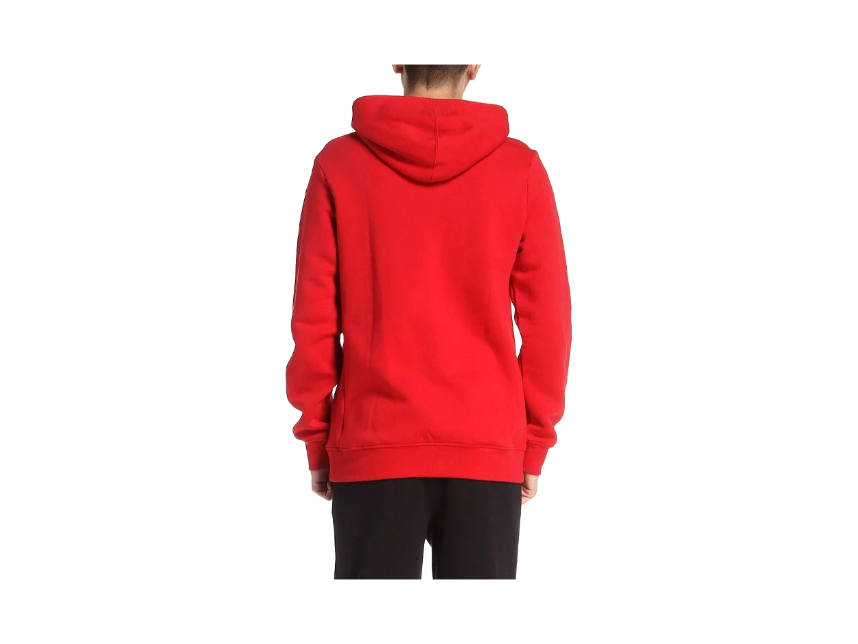 Nike Jackets Red Hooded (Non-detachable)