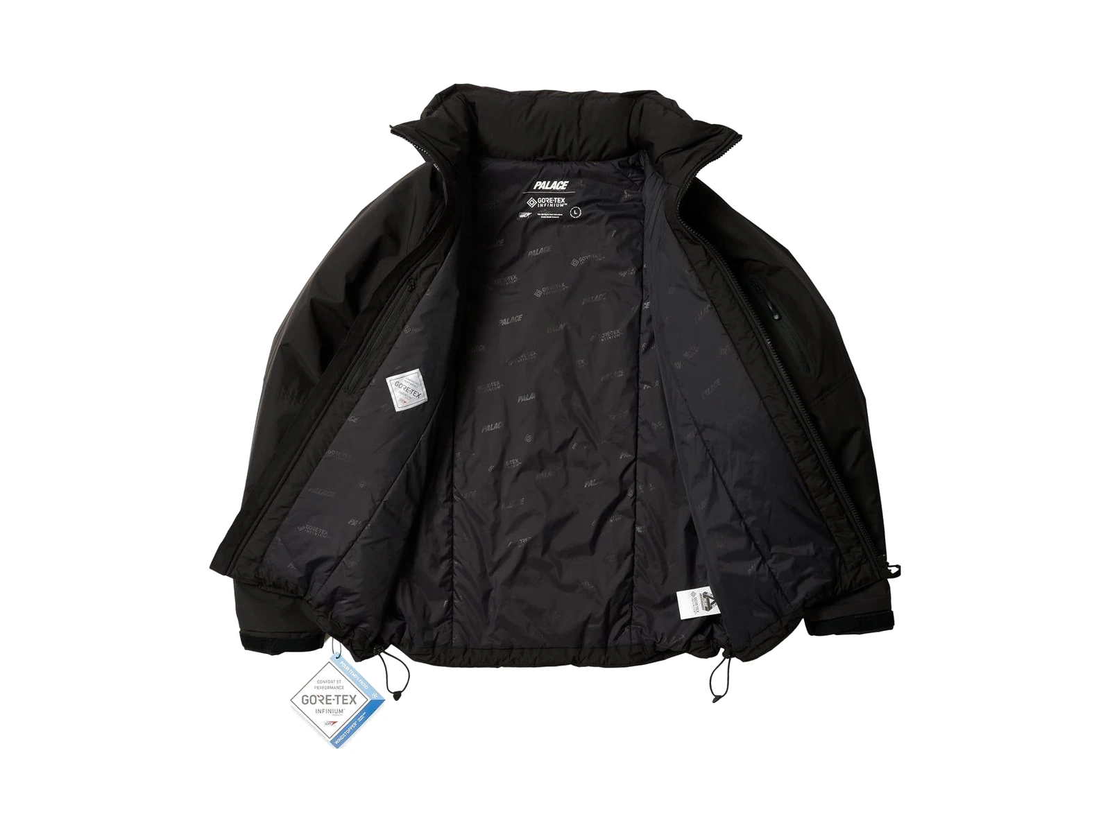 Palace Gore Tex Infinium Loft Jacket